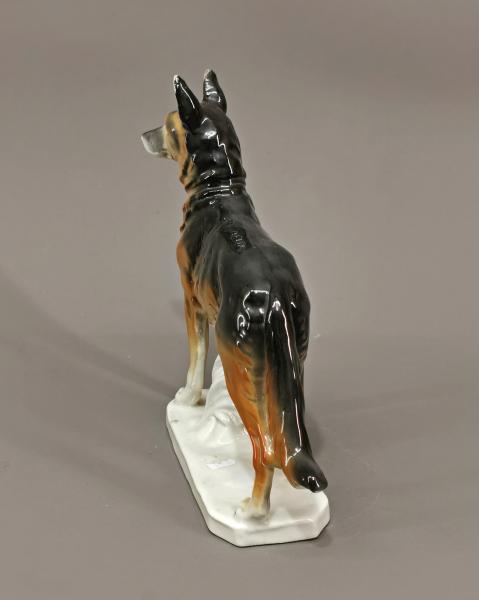 Schäferhund