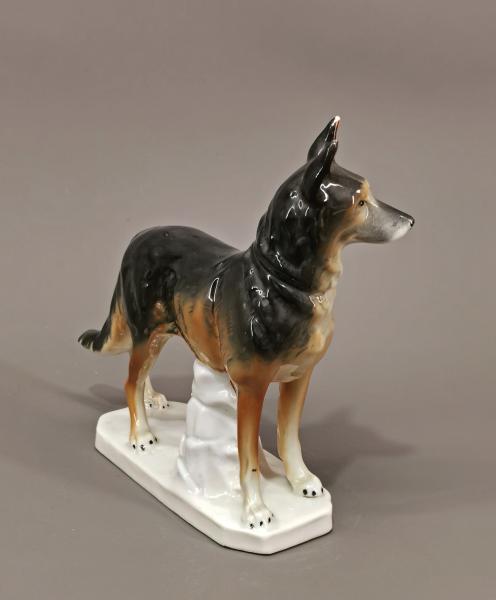 Schäferhund