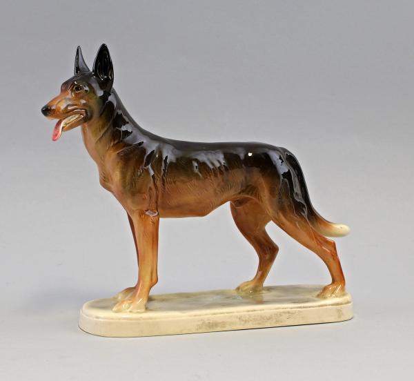 Schäferhund Katzhütte
