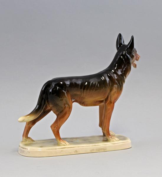 Schäferhund Katzhütte