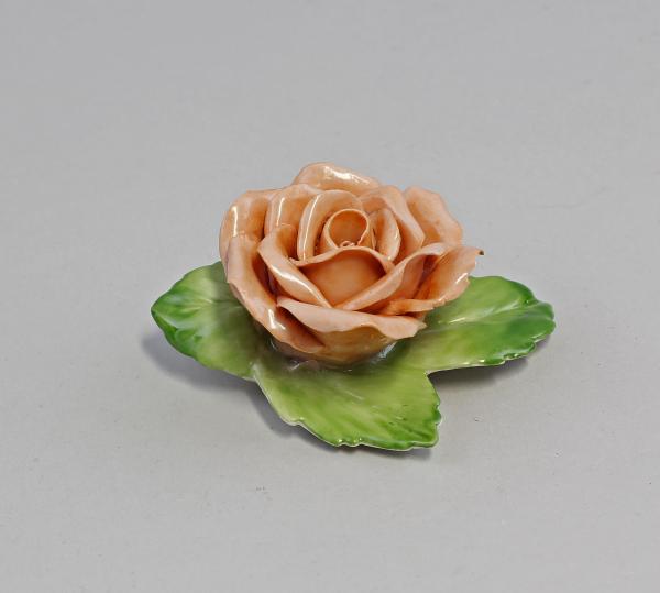 Altrosa Tischrose Albert Stahl