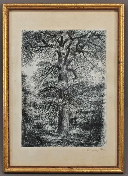 Schwarz, Baum