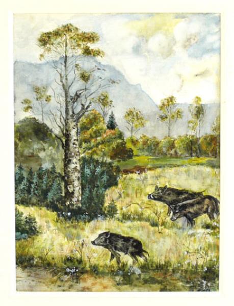 Unsigniert, Wildschweine im Tal