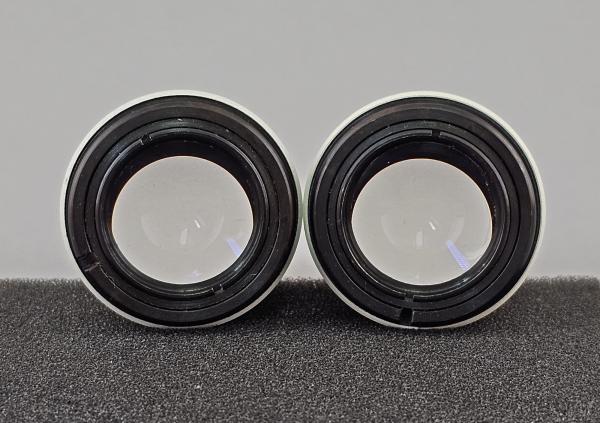 Mikroskop-Okular Paar Zeiss 10x 18 Brille 23,2mm Messokular Mikrometer