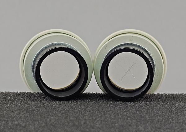 Mikroskop-Okular Paar Zeiss 10x 18 Brille 23,2mm Messokular Mikrometer