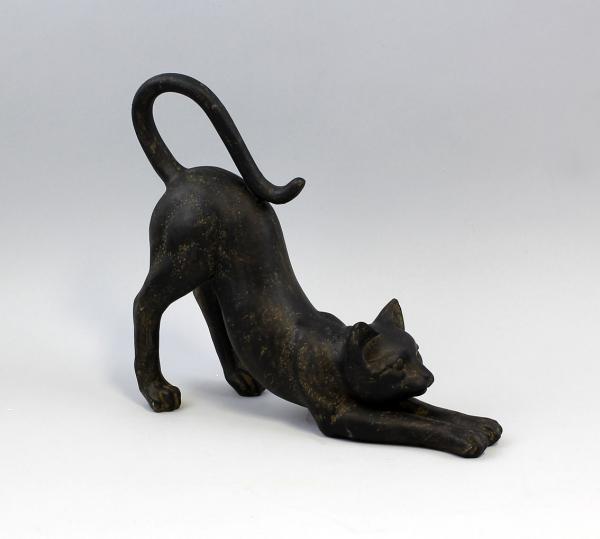 Katze