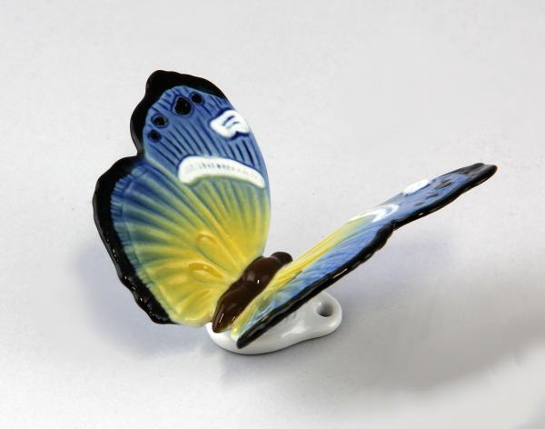 Schmetterling blau / gelb