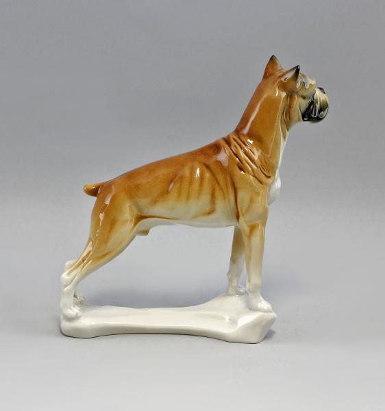 Hund Boxer