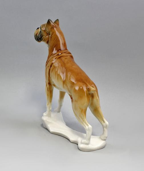 Hund Boxer