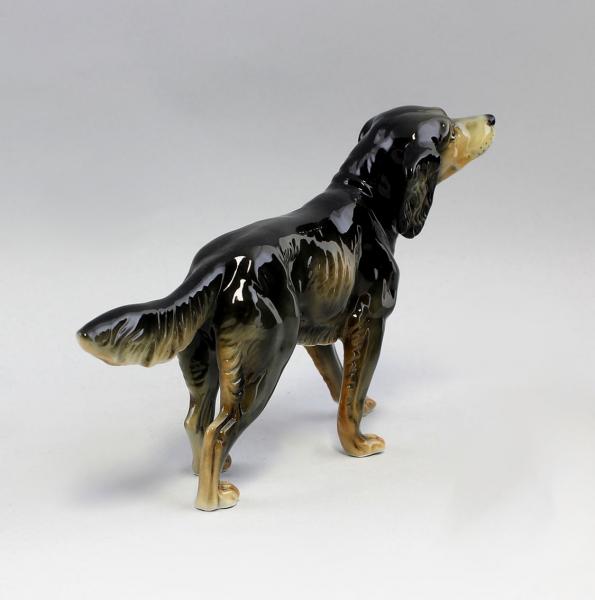 Hund Setter