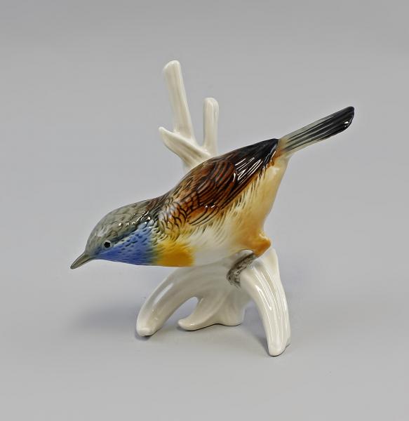 Braunbrustzaunkönig / Blaukehlchen