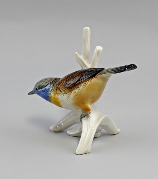 Braunbrustzaunkönig / Blaukehlchen