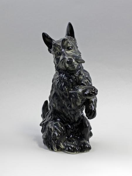 Terrier sitzend schwarz