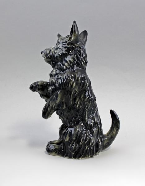 Terrier sitzend schwarz