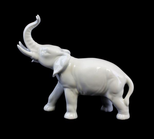 Elefant