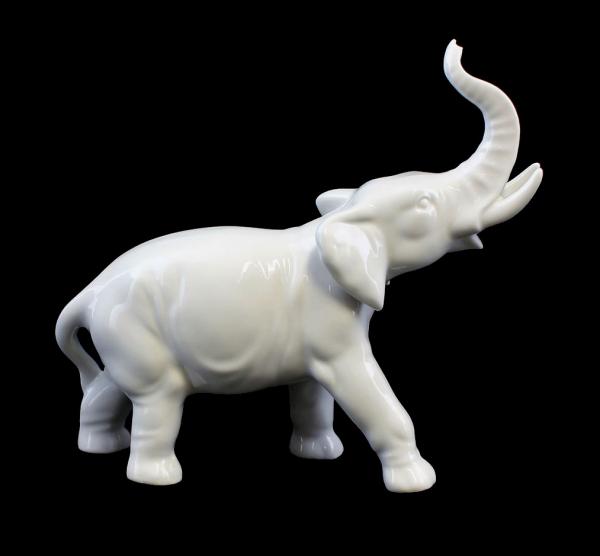 Elefant