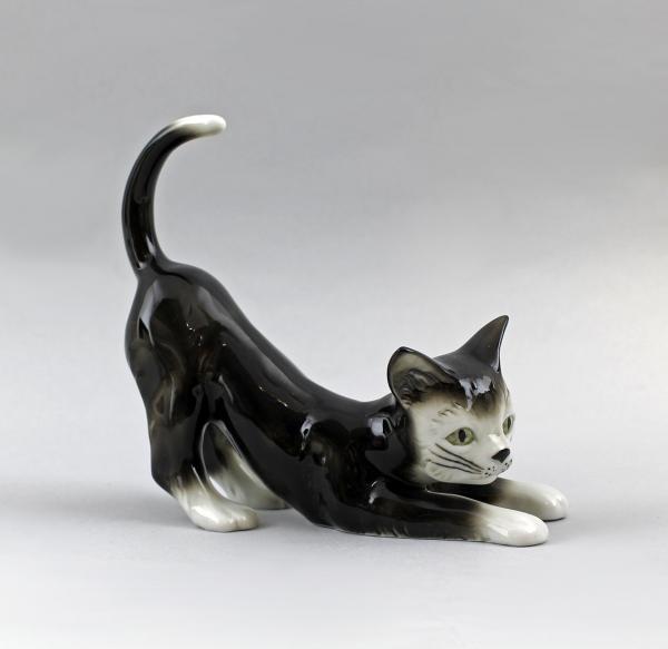 Katze sich streckend schwarz