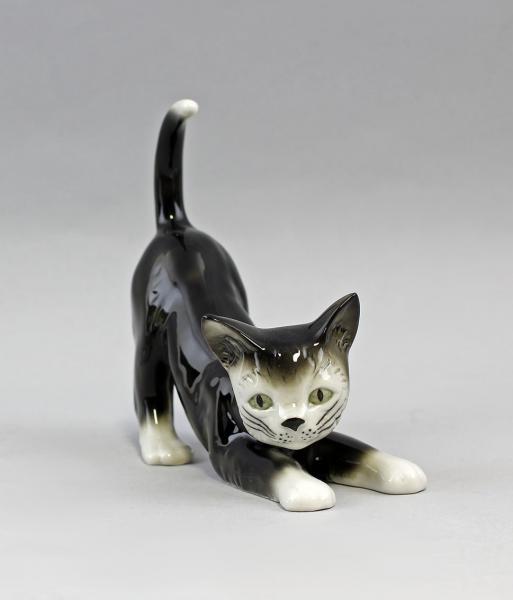 Katze sich streckend schwarz