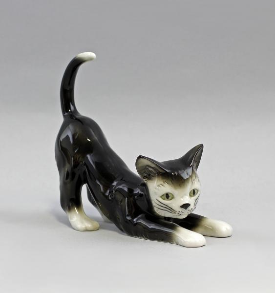 Katze sich streckend schwarz