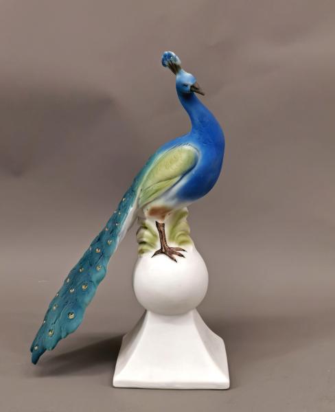 Sonderposten Pfau