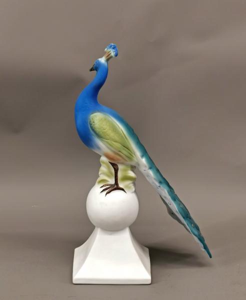 Sonderposten Pfau