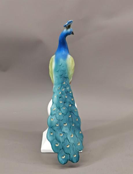 Sonderposten Pfau
