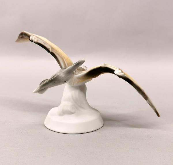 Dino Pteranodon