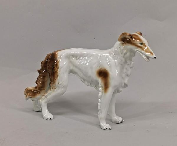 Windhund stehend