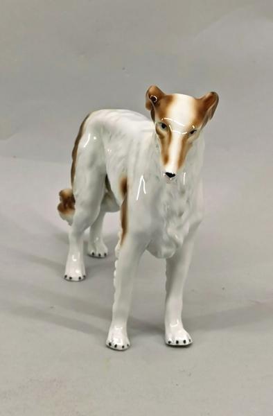 Windhund stehend