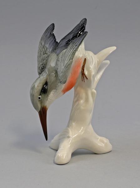 Rotbrust-Eisvogel Stürzer
