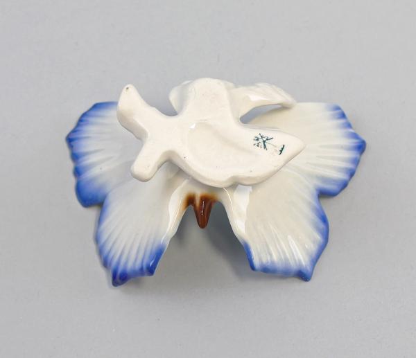 Schmetterling Sockel blau