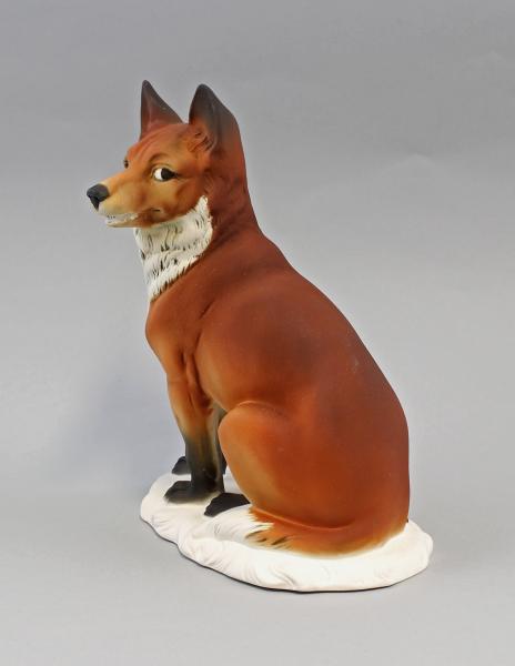 Fuchs bunt