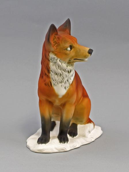 Fuchs bunt