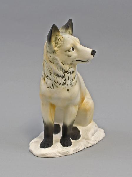Polar-Fuchs bunt