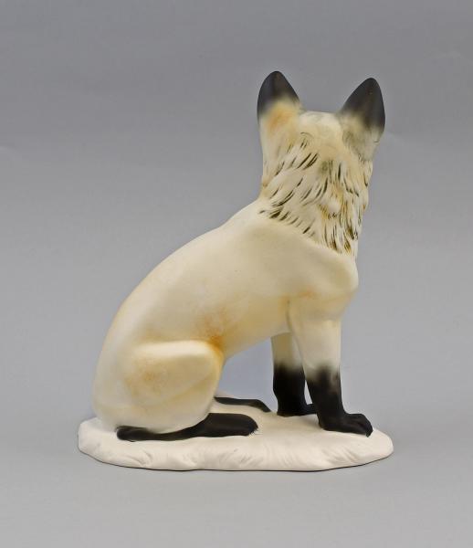 Polar-Fuchs bunt