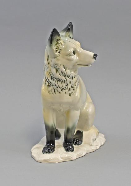 Polar-Fuchs