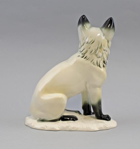 Polar-Fuchs
