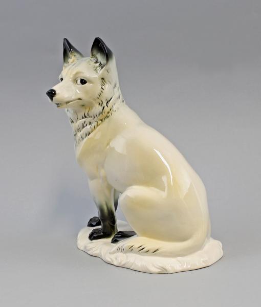 Polar-Fuchs