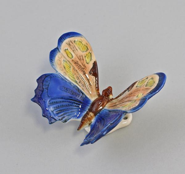 Schmetterling