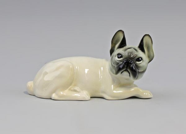 Franz. Bulldogge hellbeige