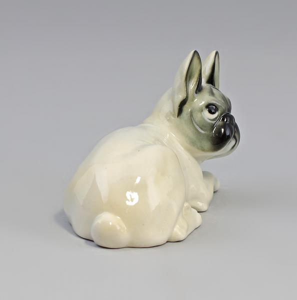Franz. Bulldogge hellbeige