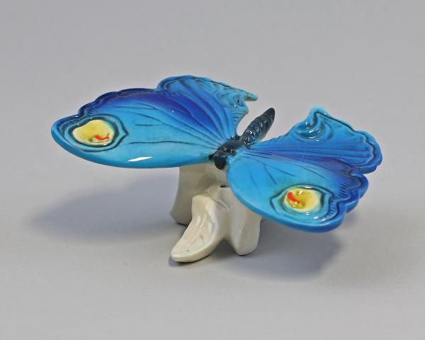 Schmetterling