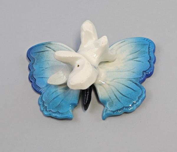Schmetterling