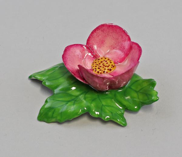 Tischblume Wild-Rose purpur