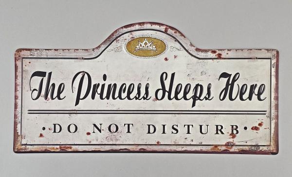 Blechschild  Rill The Prince sleeps here