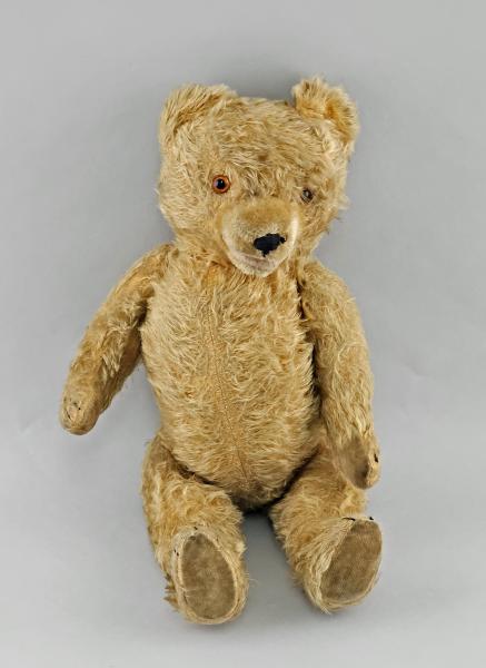 Teddy