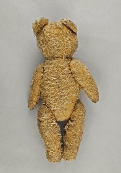 Teddy
