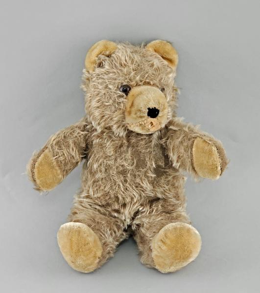 Teddy