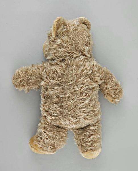Teddy