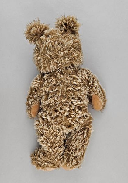 Teddy